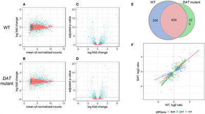 Functional Genomic Analysis of Amphetamine Sensitivity in Drosophila